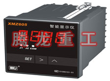 溫度表、數(shù)字顯示儀、濕度表