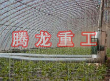 大棚花卉供暖設(shè)備、大棚卉采暖設(shè)備、大棚花卉取暖設(shè)備