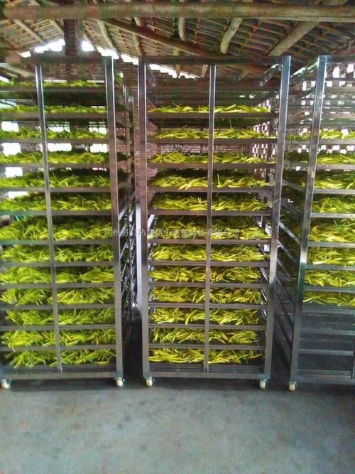 黃花菜烘干機(jī)、黃花菜烘干設(shè)備、黃花菜干燥機(jī)、黃花菜干燥設(shè)備、